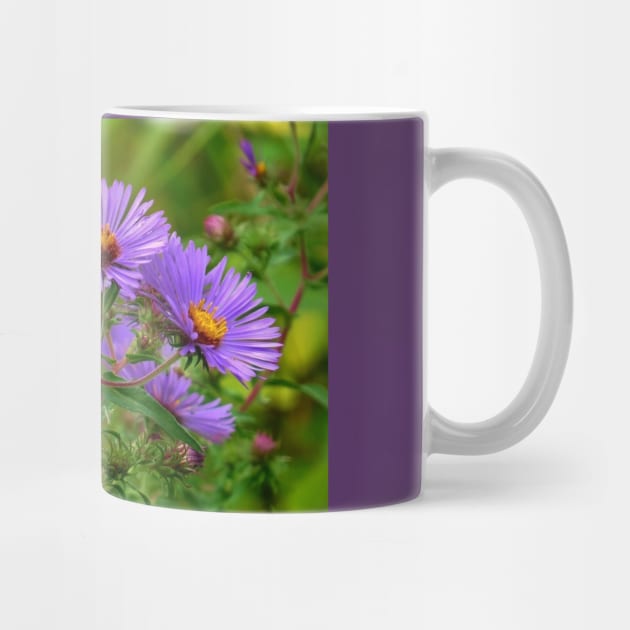 Linger - Purple Asters by MaryLinH